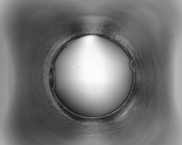 X0000094070625200710261247