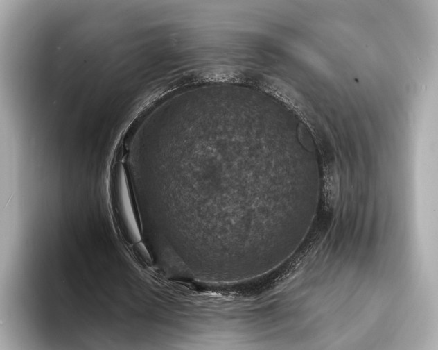 X0000094070626200710261247