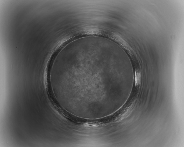X0000094070627200710261247