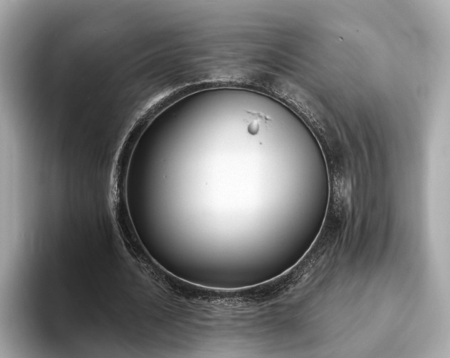 X0000094070628200710261247