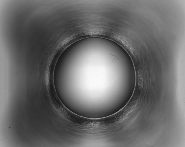 X0000094070631200710261247