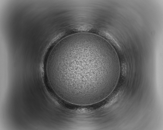 X0000094070634200710261247