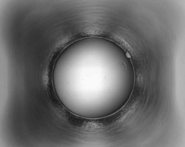 X0000094070635200710261247