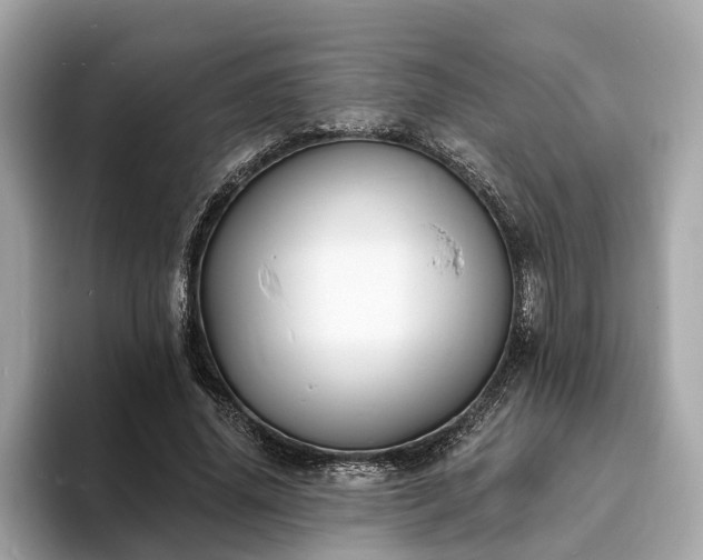 X0000094070636200710261247