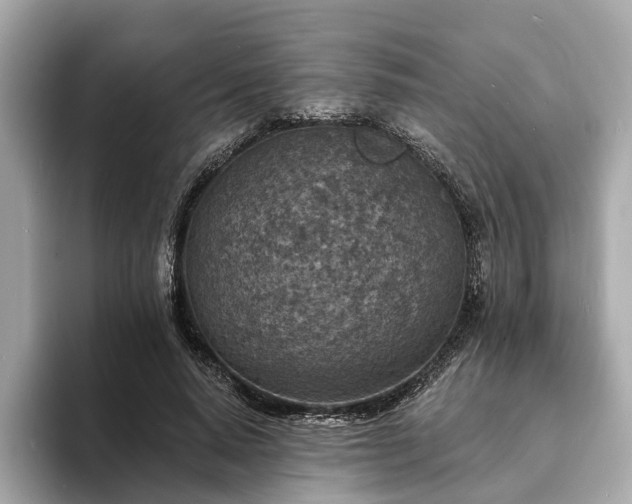 X0000094070640200710261247