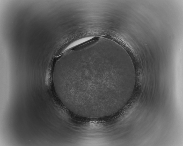 X0000094070641200710261247