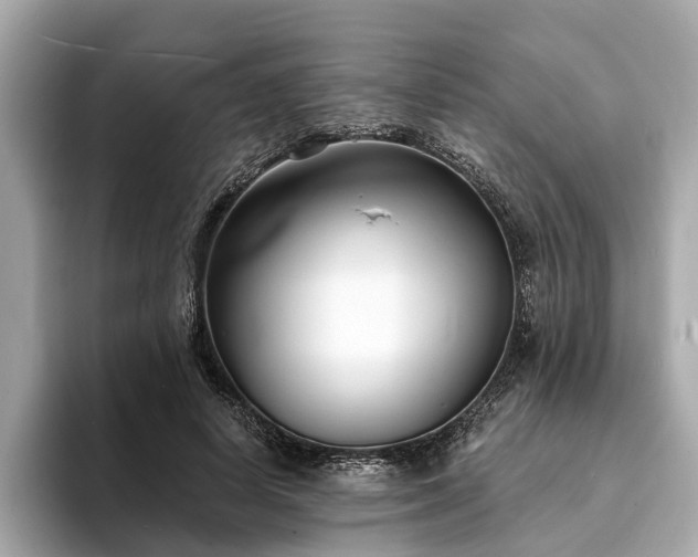 X0000094070642200710261247