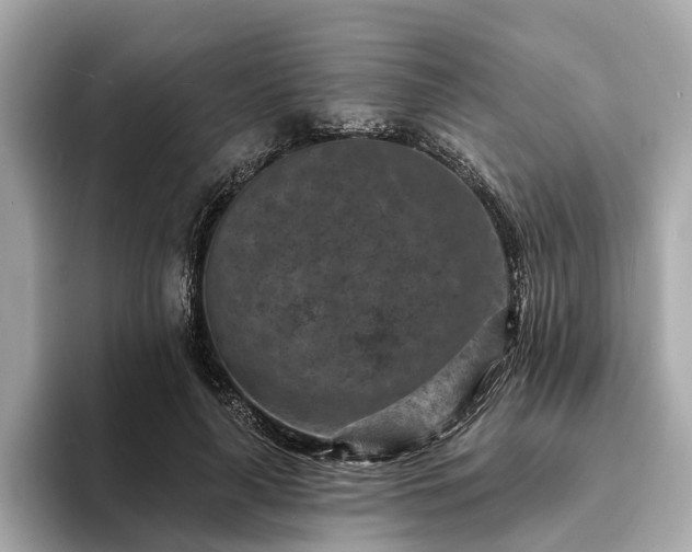 X0000094070643200710261247