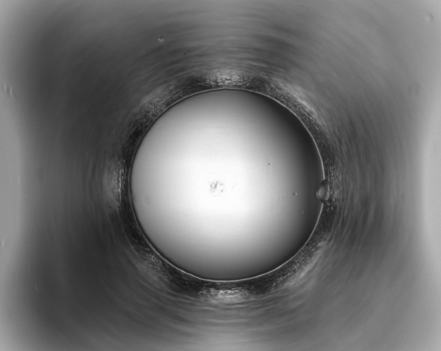 X0000094070645200710261247