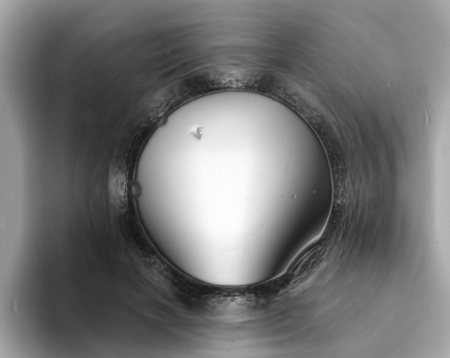 X0000094070646200710261247