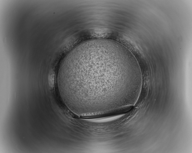 X0000094070647200710261247
