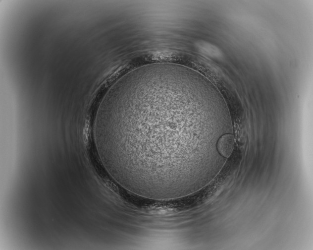 X0000094070648200710261247