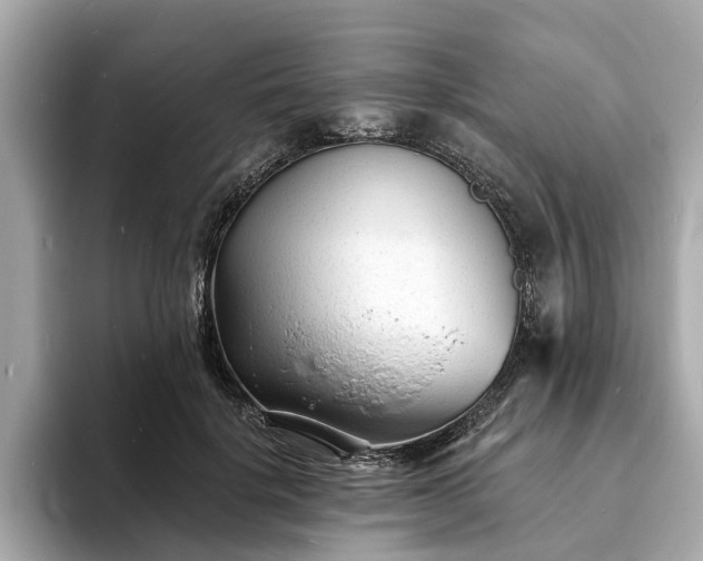 X0000094070652200710261247