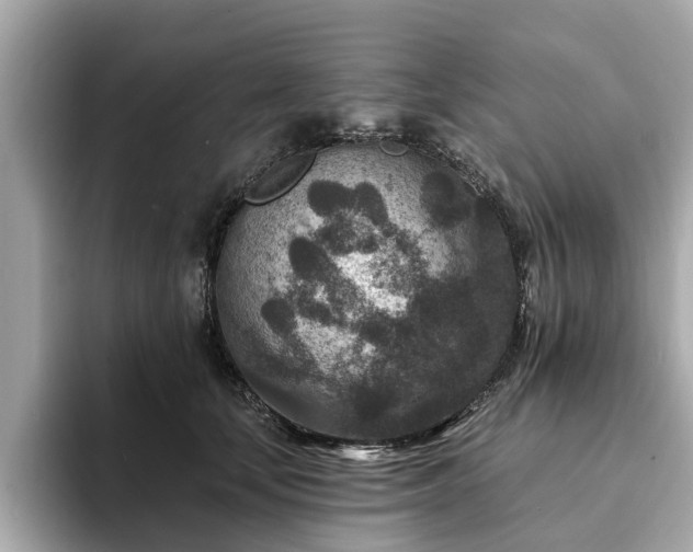 X0000094070659200710261247