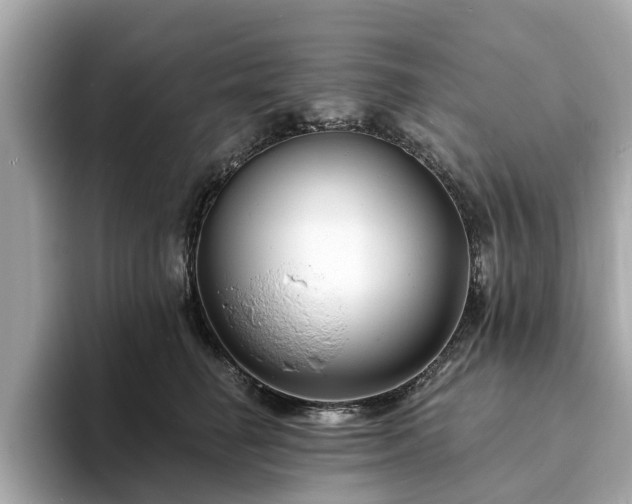 X0000094070662200710261247