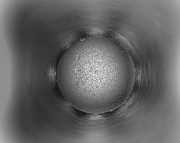 X0000094070669200710261248