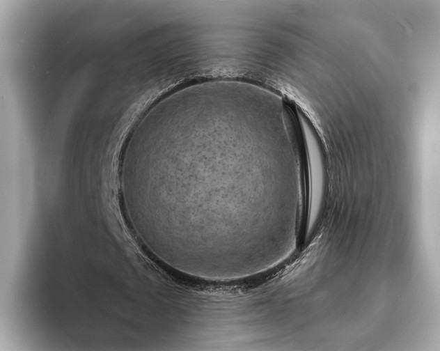 X0000094070673200710261247