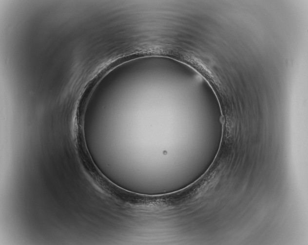 X0000094070674200710261247