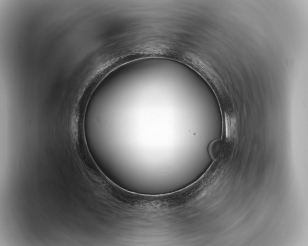 X0000094070675200710261247