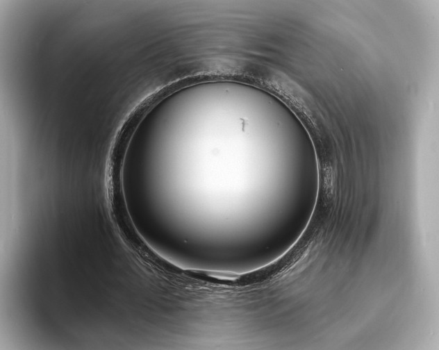 X0000094070676200710261247