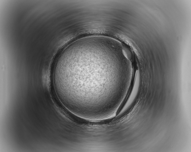 X0000094070677200710261247