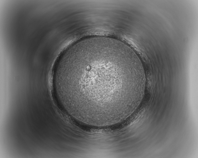 X0000094070679200710261247