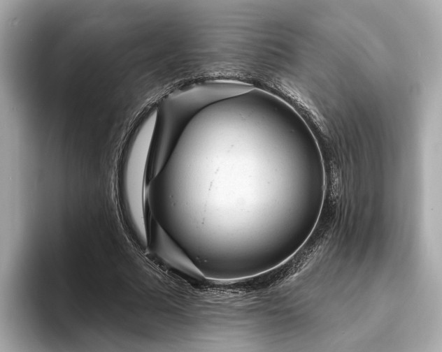 X0000094070681200710261247