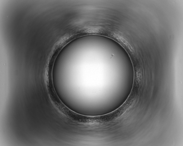 X0000094070682200710261247