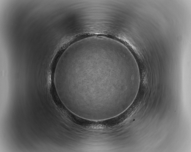 X0000094070685200710261247