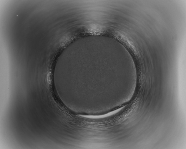 X0000094070689200710261247