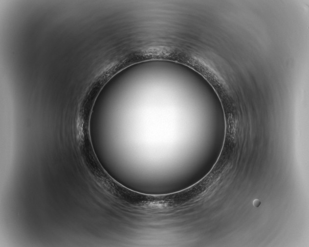 X0000094070692200710261247