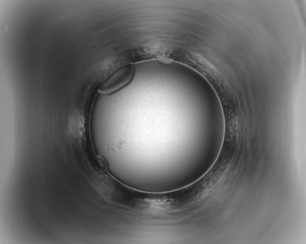 X0000094070693200710261247