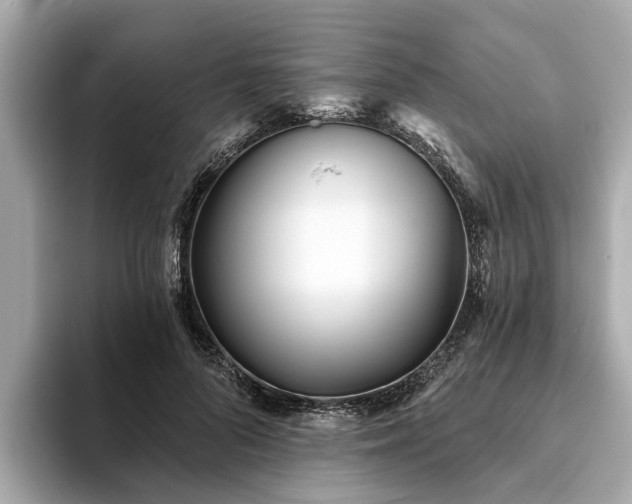 X0000094070696200710261247