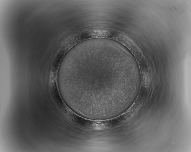 X0000094070701200710261247
