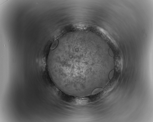 X0000094070707200710261247