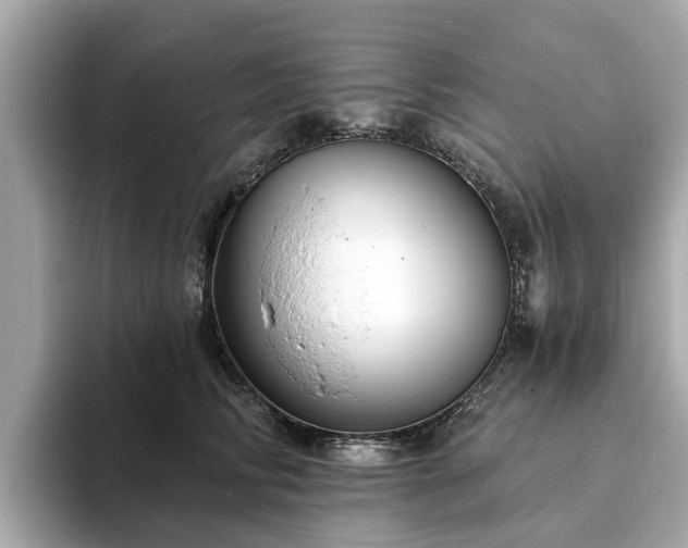 X0000094070710200710261246