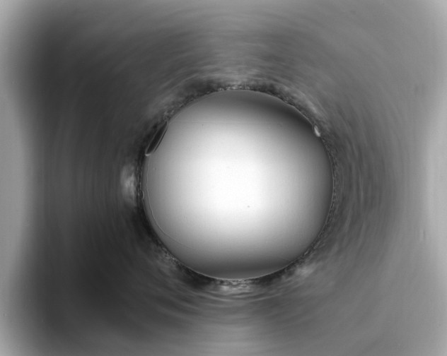 X0000094070720200710261246