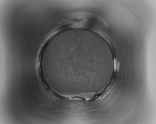 X0000094070723200710261246