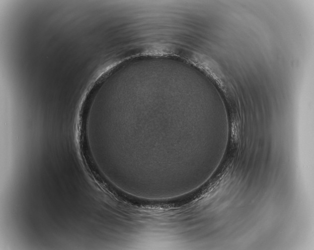 X0000094070724200710261246