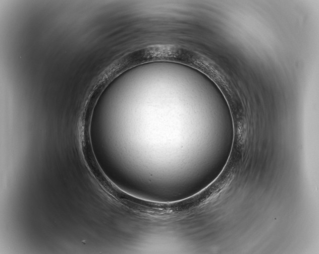 X0000094070725200710261246