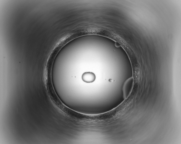 X0000094070726200710261246