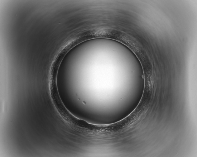 X0000094070728200710261246