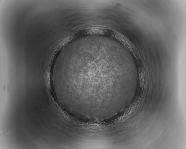 X0000094070729200710261246