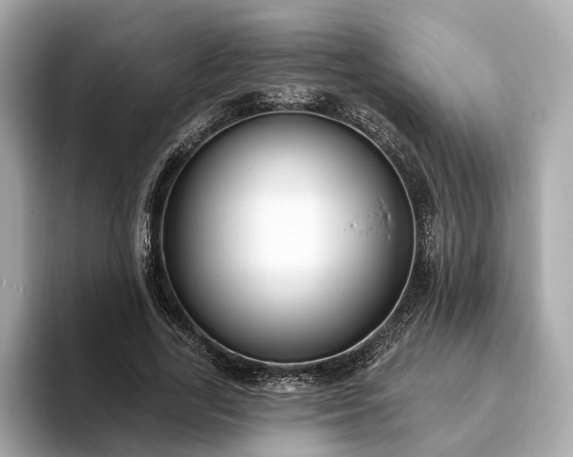X0000094070731200710261246