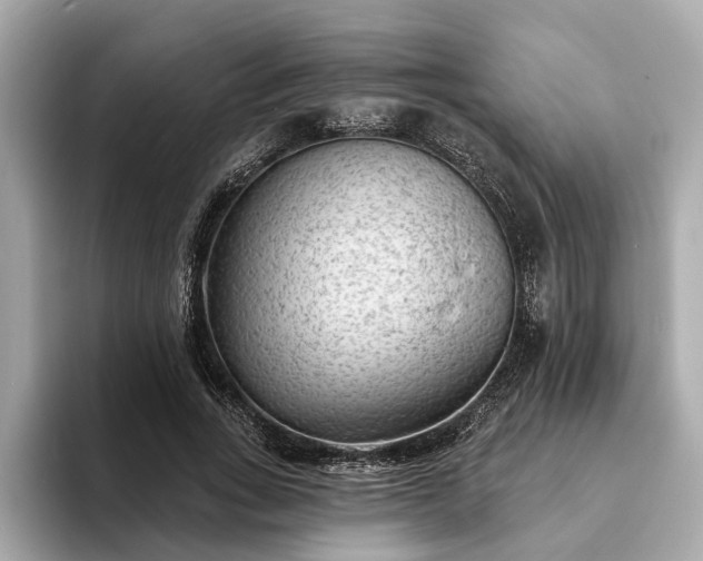 X0000094070735200710261246
