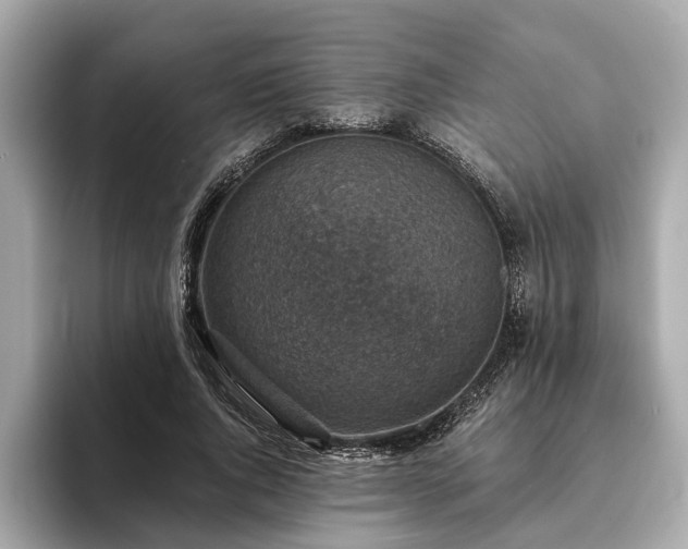 X0000094070736200710261246