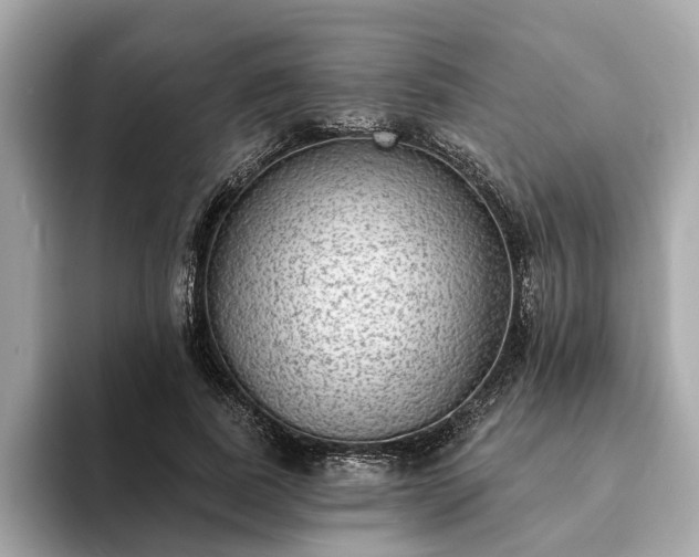 X0000094070739200710261246