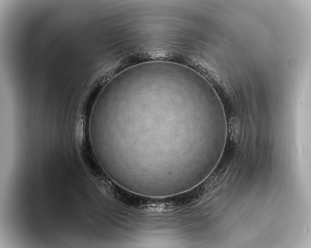 X0000094070740200710261246