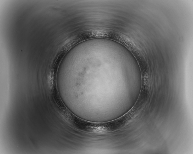 X0000094070741200710261246