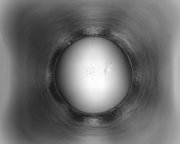X0000094070743200710261246